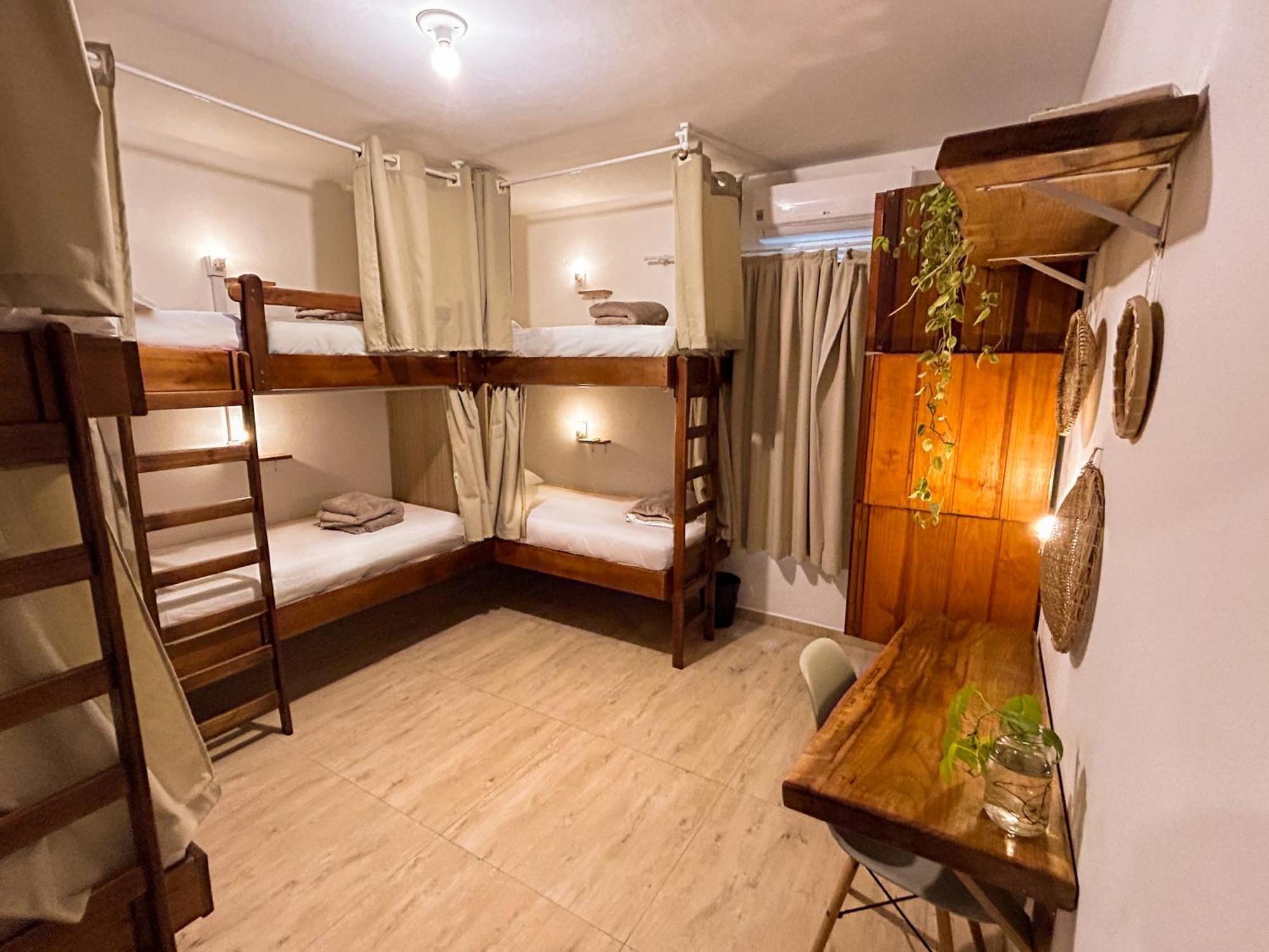 סאו פרנסיסקו דו סול Babitonga Hostel - 100M Da Prainha מראה חיצוני תמונה